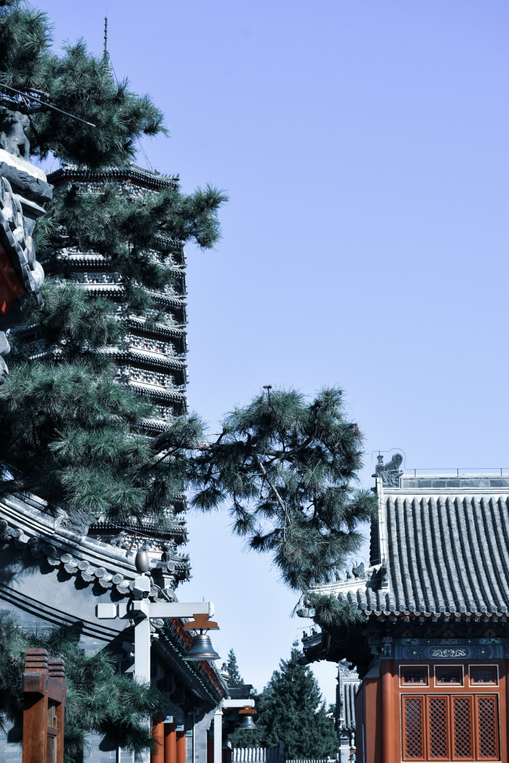 1697707658507072.jpg 古建2 (2).jpg