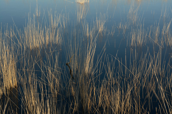 1703497886183032.jpg 池子1 (2).jpg