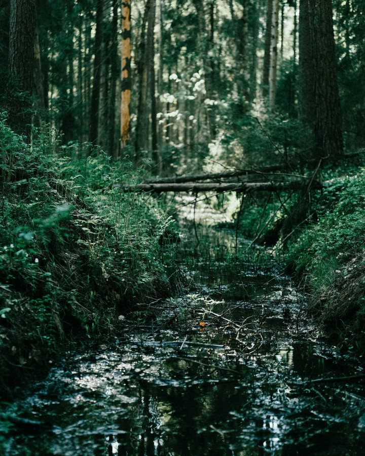 1703497896857256.jpg 池子2 (2).jpg